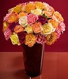 Valentine's Day Flowers - 36 Assorted Petite Roses with Vase