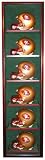 6 Full Size Football Helmet Display Case-Black