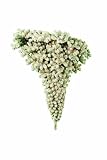 Barcana 4-Foot Flocked Ready Trim Corner Wrap Around Upside Down Christmas Tree with 300 Clear Mini Lights