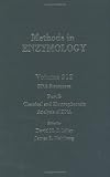 DNA Structures, Part B, Chemical and Electrophoretic Analysis of DNA: Volume 212: Dna Sturctures Part B: Chemical and Electrophoretic Analysis of DNA Pt.B (Methods in Enzymology)