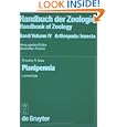 Planipennia: Lacewings