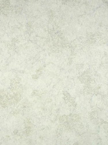 warner wallpaper. Wallpaper Warner Warner