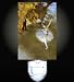 The Star by Degas Decorative Night Light