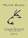 Capricorn Horoscope Series 2010