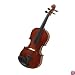 Cecilio CVN-100 Rosewood Full Size 4/4 Violin with Case and Accessories