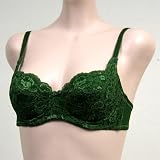 Venus NEW $53 FOREST Green Lace Mesh Underwire Bra #1011 34B