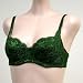  : Venus NEW $53 FOREST Green Lace Mesh Underwire Bra #1011 34B