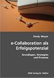 e-Collaboration als Erfolgspotenzial: Grundlagen, Strategien und Prozesse