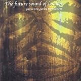 Review Future Sound Of London  / Papua New Guinea: Translations