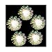 Kurt Adler UL1261C Clear Iridescent Flower Light Set, 10 Light