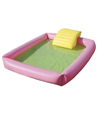 Pool and Bridge - Pink