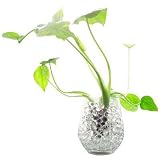 SODIAL- 10 Bags Clear Water Crystal Decor Gel Water Beads Balls - Kitchen Bedroom Sitting Room Wedding decorate