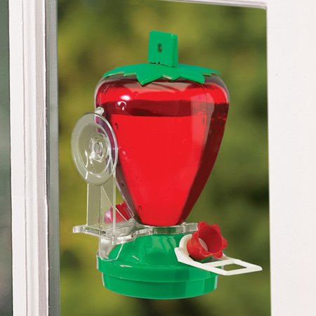 Cherry Valley Feeder 12-Ounce Hummingbird Feeder