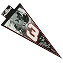 DALE EARNHARDT SR OFFICIAL LOGO FULL SIZE FELT PENNANT