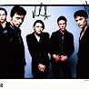 Image of Suede