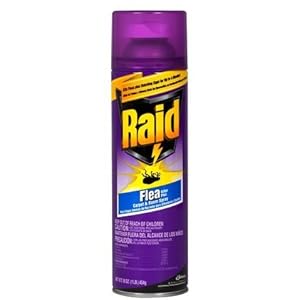 Amazon.com: Raid Flea Killer Plus, Carpet and Room Spray-16 oz. (Pack of 3): Health &amp; Personal Care