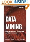 Data Mining: Multimedia, Soft Computing, and Bioinformatics