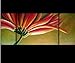 Feng Shui Painting Abstract Art Sunflower Oil Painting