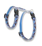 Muddy Paws - Lupine Adjustable H-Style Harness 1/2 in. x 12 in. x 20 in.