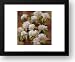 Spring Sonnet 15x18 Framed Art Print by Balin, Onan