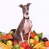 Excellent Italian Greyhound [Vinyl LP]