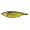 Golden Green Shiner