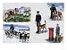 All Sorts of Working Dogs Giclee Poster Print by John Chalkley, 18x24