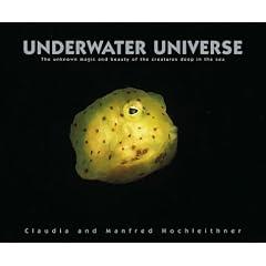 Underwater Universe: The Unknown Magic and Beauty of the Creatures Deep in the Sea