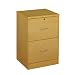 Studio RTA 2-Drawer Vertical File Cabinet - Natural