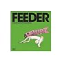 Feeder - Forget About Tomorrow [DVD]