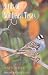 Book Birds of Northeast Texas (W.L. Moody, Jr., Natural History Series)