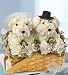 Valentine's Day Flowers by 1-800-Flowers - Flowers by 1800Flowers - Like You Fur-ever
