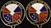 TEST AND EVALUATION Distinctive Unit Insignia - Pair