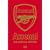 Arsenal - The Official History 1886-2003 [DVD]