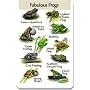 Identiflyer Additional SongCard- Fabulous Frogs