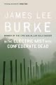 In The Electric Mist with the Confederate Dead