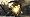 Killzone 2 (PS3)