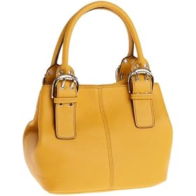 Tignanello Perfect 10 French Tote