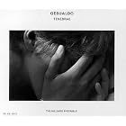 Gesualdo: Tenebrae by Paul Hillier, David Beavan, David Beaven, Carlo Gesualdo, and Hilliard Ensemble