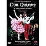 Don Quixote - American Ballet Theatre [DVD] [1983]