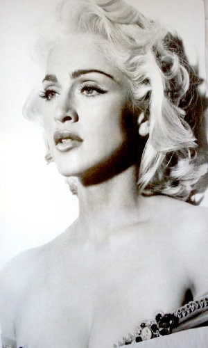 Madonna Poster - Classic Pose Celebration Madonna Poster - Classic Pose Celebration