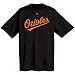 Baltimore Orioles Official Wordmark Short Sleeve T-Shirt