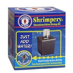 Sf Brine Shrimp Shrimpery
