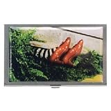 Wizard of Oz Ruby Slippers Compact Case