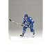 McFarlane Toys NHL Sports Picks Series 18 Action Figure Mats Sundin (Quebec Nordiques)