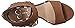Jessica Simpson Women's Reiko Dress Pump