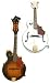 Laurel Scroll Top F Style Mandolin - Brown