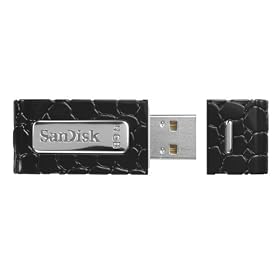 SanDisk SDCZP-4096-A11BL 4GB Cruzer Gator (Black)