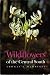 Wildflowers of the Central South