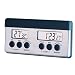 Amco Double Digital Timer